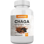 Allnature Chaga 1×100 cps, Nahrungsergänzungsmittel