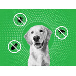 FRONTLINE COMBO spot-on per CANI L 3 x 2,68 ml 3x2,68 ml 3x2,68 ml, soluzione per cani