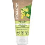 INDULONA hand cream SPRAY RESTAURANT 50 ml 1×50 ml, hand cream