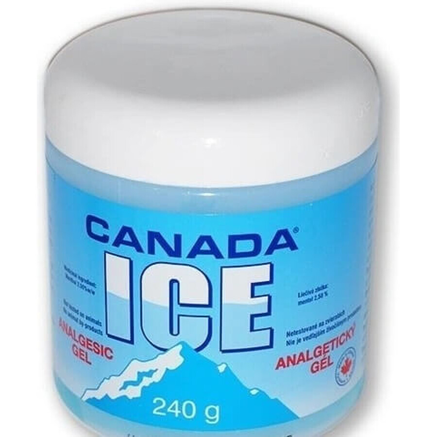 CANADA ICE GEL 1×240 ml, analgésico