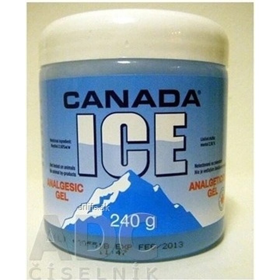 CANADA ICE GEL 1×240 ml, analgésico