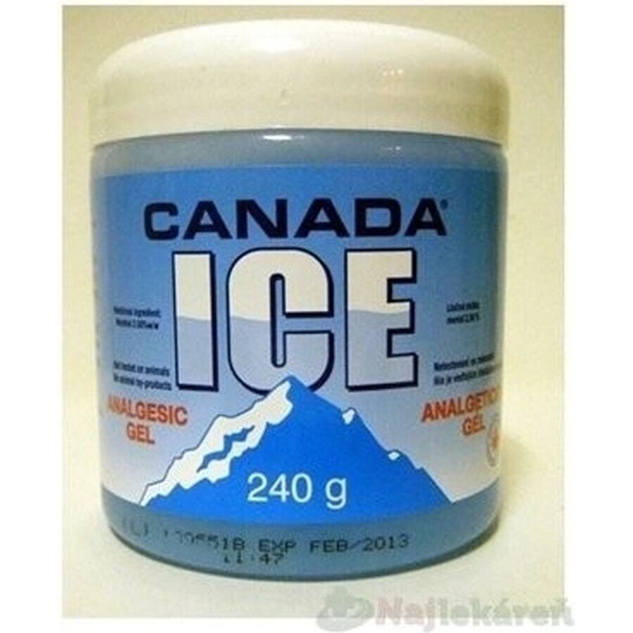 CANADA ICE GEL 1×240 ml, analgésico