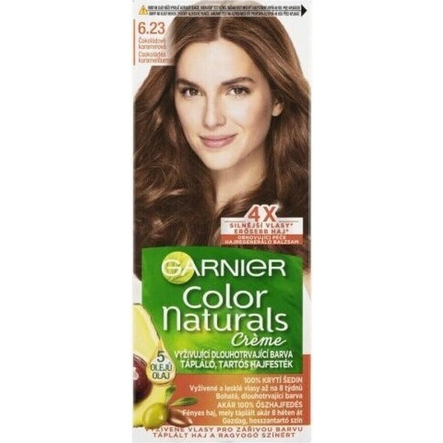 Garnier Color Naturals Tinte Permanente 6.23 Chocolate Caramelo 1×1 unidad, tinte para el cabello