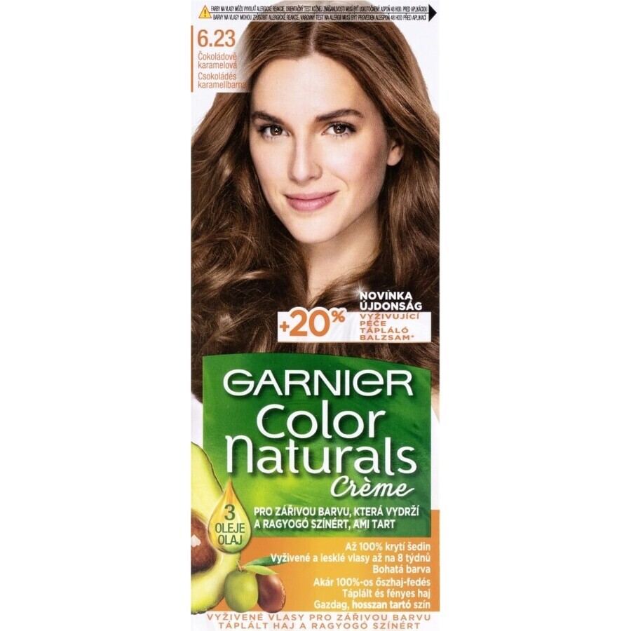 Garnier Color Naturals Tinte Permanente 6.23 Chocolate Caramelo 1×1 unidad, tinte para el cabello