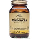 Solgar Echinacea Purpurea 100 capsules 1×100 tbl