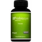 Probiozym 60 cps. - Verdauung 1×60 cps, Nahrungsergänzungsmittel