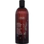 Ziaja - family shampoo with nettle for dandruff hair 1×500 ml