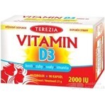 TEREZIA Vitamin D3 2000 IU 1×90 tbl, Nahrungsergänzungsmittel