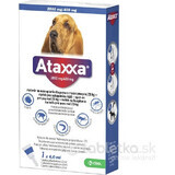 Ataxxa 2000 mg/400 mg (perros de más de 25 kg) 1×4 ml, solución para perros