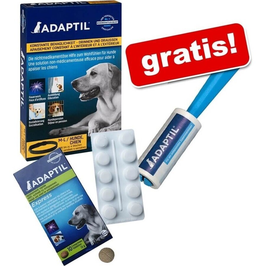 Collar adaptil para perros pequeños 1×1 ud, longitud 45 cm