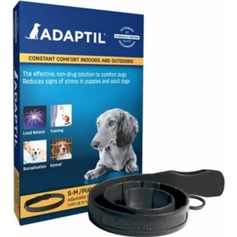 Collar adaptil para perros pequeños 1×1 ud, longitud 45 cm