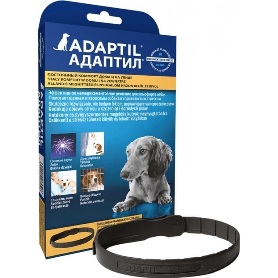 Collar adaptil para perros pequeños 1×1 ud, longitud 45 cm