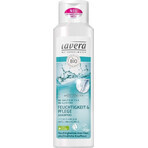 lavera Basis Shampoo Feuchtigkeit & Pflege 1×250 ml, Shampoo