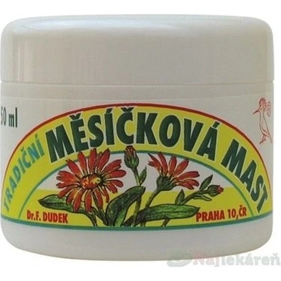 DR.F. DUDEK TRADITIONAL Pomada de hierbas 1×50 ml, pomada de hierbas