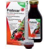 SALUS Protecor Activo Corazón Tónico Herbal 1x250 ml