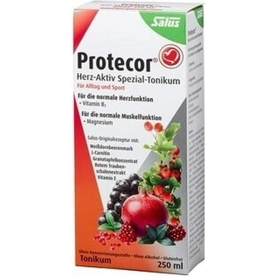 SALUS Protecor Activo Corazón Tónico Herbal 1x250 ml