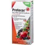 SALUS Protecor Activo Corazón Tónico Herbal 1x250 ml