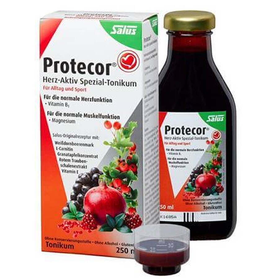 SALUS Protecor Activo Corazón Tónico Herbal 1x250 ml