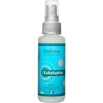 SALOOS Ambientador Eucalipto 1×50 ml aroma Aroma Eucalipto Spray de Aire