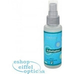 SALOOS Ambientador Eucalipto 1×50 ml aroma Aroma Eucalipto Spray de Aire