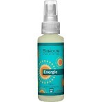 SALOOS Ambientador Eucalipto 1×50 ml aroma Aroma Eucalipto Spray de Aire