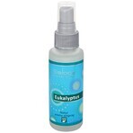 SALOOS Ambientador Eucalipto 1×50 ml aroma Aroma Eucalipto Spray de Aire