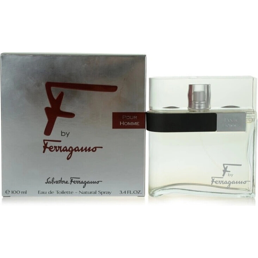 Salvatore Ferragamo F Pour Homme Edt 100ml 1×100 ml, eau de toilette