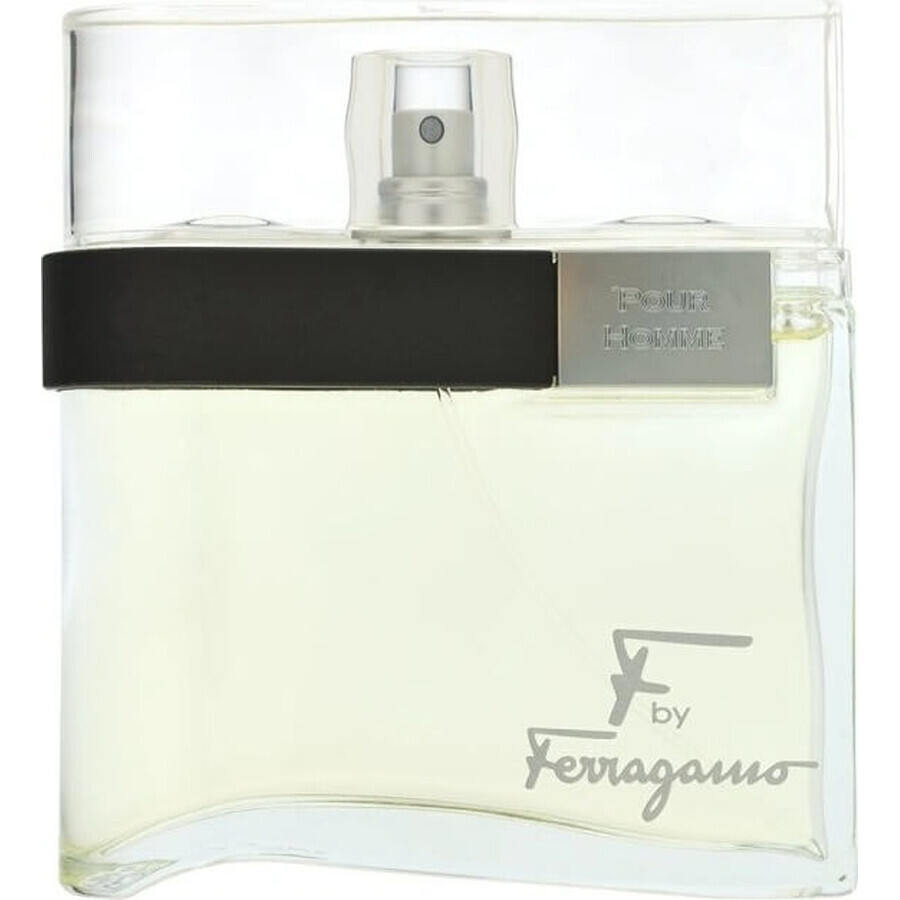 Salvatore Ferragamo F Pour Homme Edt 100ml 1×100 ml, eau de toilette