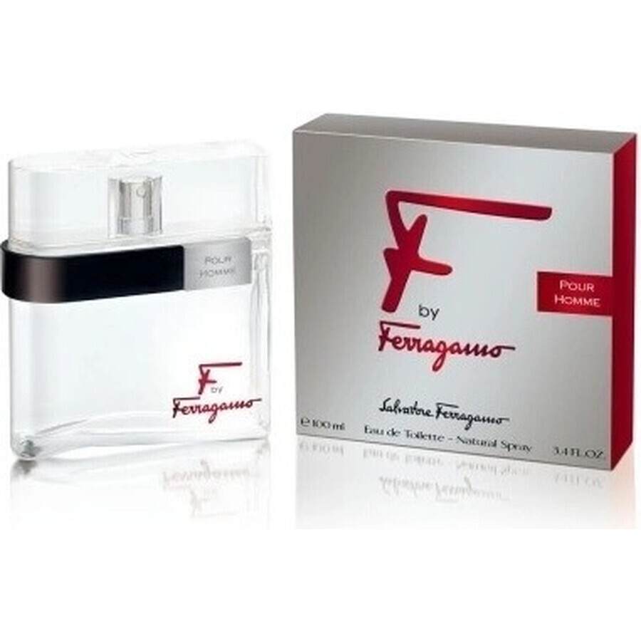 Salvatore Ferragamo F Pour Homme Edt 100ml 1×100 ml, eau de toilette