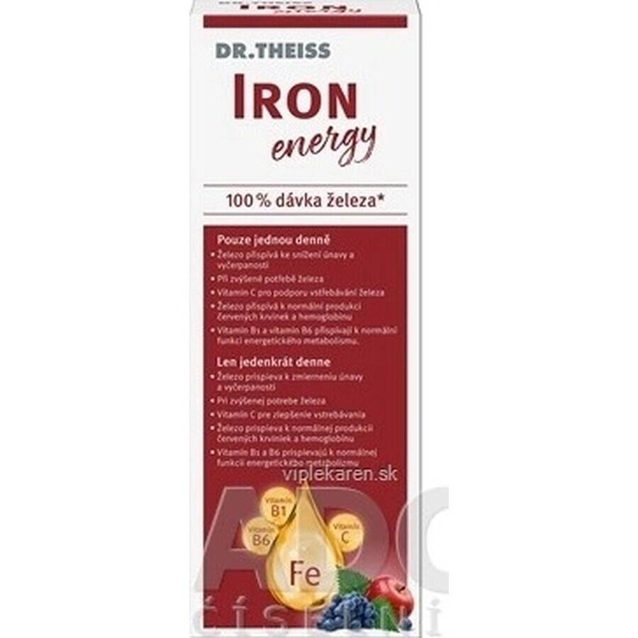 Dr Theiss Iron Energy 1×250 ml, complément alimentaire