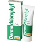 Dr Müller DERMO CHLOROPHYL SPRAY 1×50 ml, spray