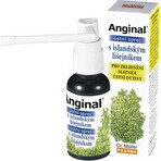 Dr. Müller ANGINAL Oral Spray 1×30 ml, oral spray