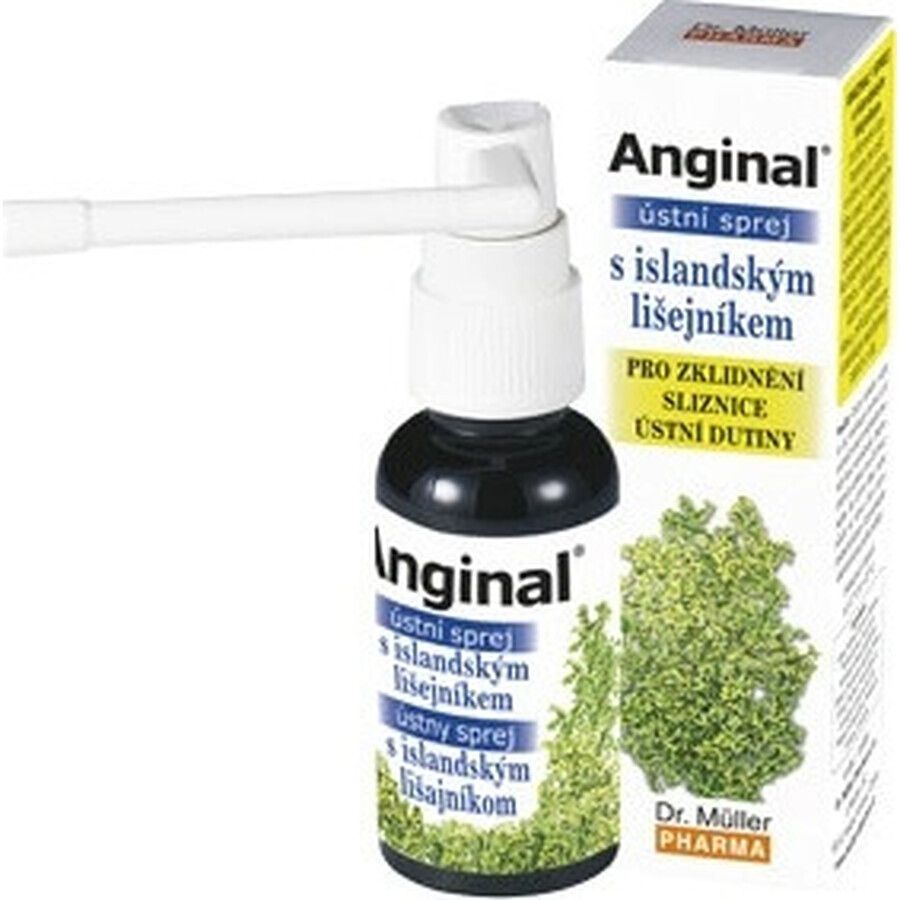 Dr. Müller ANGINAL Oral Spray 1×30 ml, oral spray