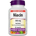 WEBBER NATURALS Niacin B3 500 mg non allergène ! 1×90 cps, complément alimentaire