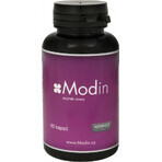 Modin 60 cápsulas - equilibrio mental 1×60 cps, complemento alimenticio