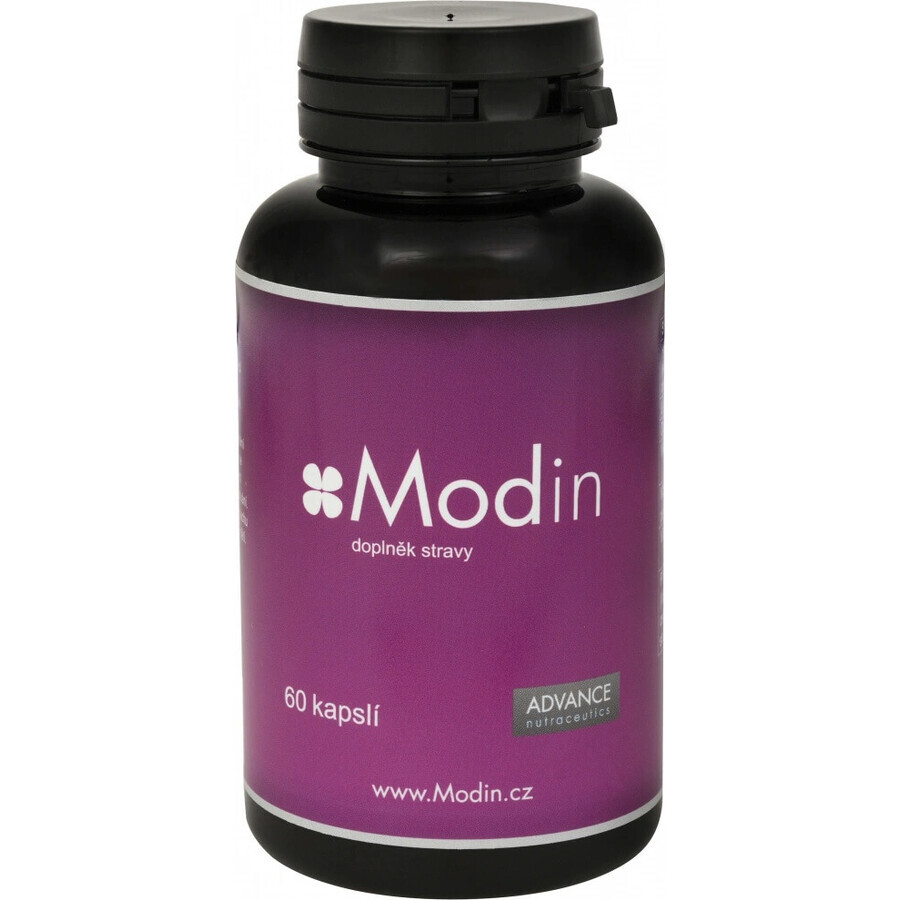 Modin 60 cápsulas - equilibrio mental 1×60 cps, complemento alimenticio