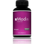 Modin 60 cápsulas - equilibrio mental 1×60 cps, complemento alimenticio