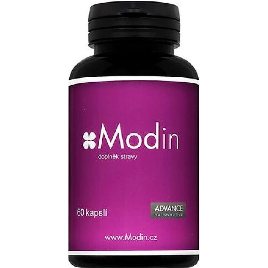 Modin 60 cápsulas - equilibrio mental 1×60 cps, complemento alimenticio