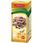 TEREZIA SETAS HONGOS 1×180 cps, complemento alimenticio