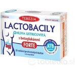 TEREZIA LACTOBACIL + USTRICOUS FUNGUS 1x10 cps, con beta-glucanos FORTE