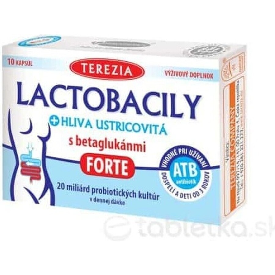 TEREZIA LACTOBACIL + USTRICOUS FUNGUS 1x10 cps, con beta-glucanos FORTE