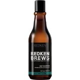 Redken Men's Invigorating Mint Hair Champú Brebajes 1×300 ml, champú