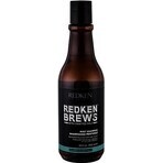 Redken Men's Invigorating Mint Hair Champú Brebajes 1×300 ml, champú