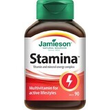 JAMIESON STAMINA COMPLEJO DE VITAMINAS Y MINERALES 1×90 tbl, complemento alimenticio