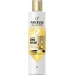 PANTENE MOLECUL.BOND REP.SHP BIOT.PRO-V 250ML 1×250 ml, champú para cabellos dañados