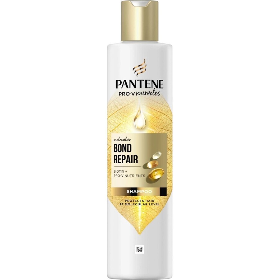 PANTENE MOLECUL.BOND REP.SHP BIOT.PRO-V 250ML 1×250 ml, champú para cabellos dañados