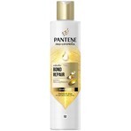 PANTENE MOLECUL.BOND REP.SHP BIOT.PRO-V 250ML 1×250 ml, champú para cabellos dañados