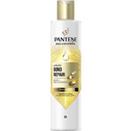 PANTENE MOLECUL.BOND REP.SHP BIOT.PRO-V 250ML 1×250 ml, champú para cabellos dañados