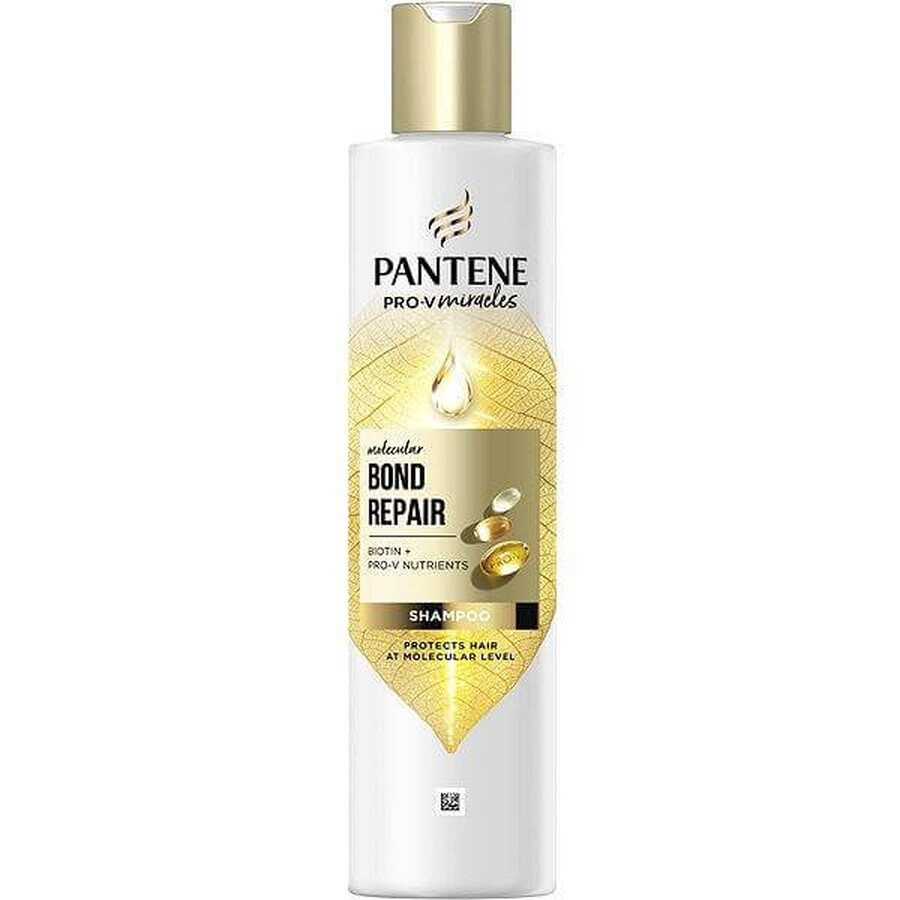 PANTENE MOLECUL.BOND REP.SHP BIOT.PRO-V 250ML 1×250 ml, champú para cabellos dañados