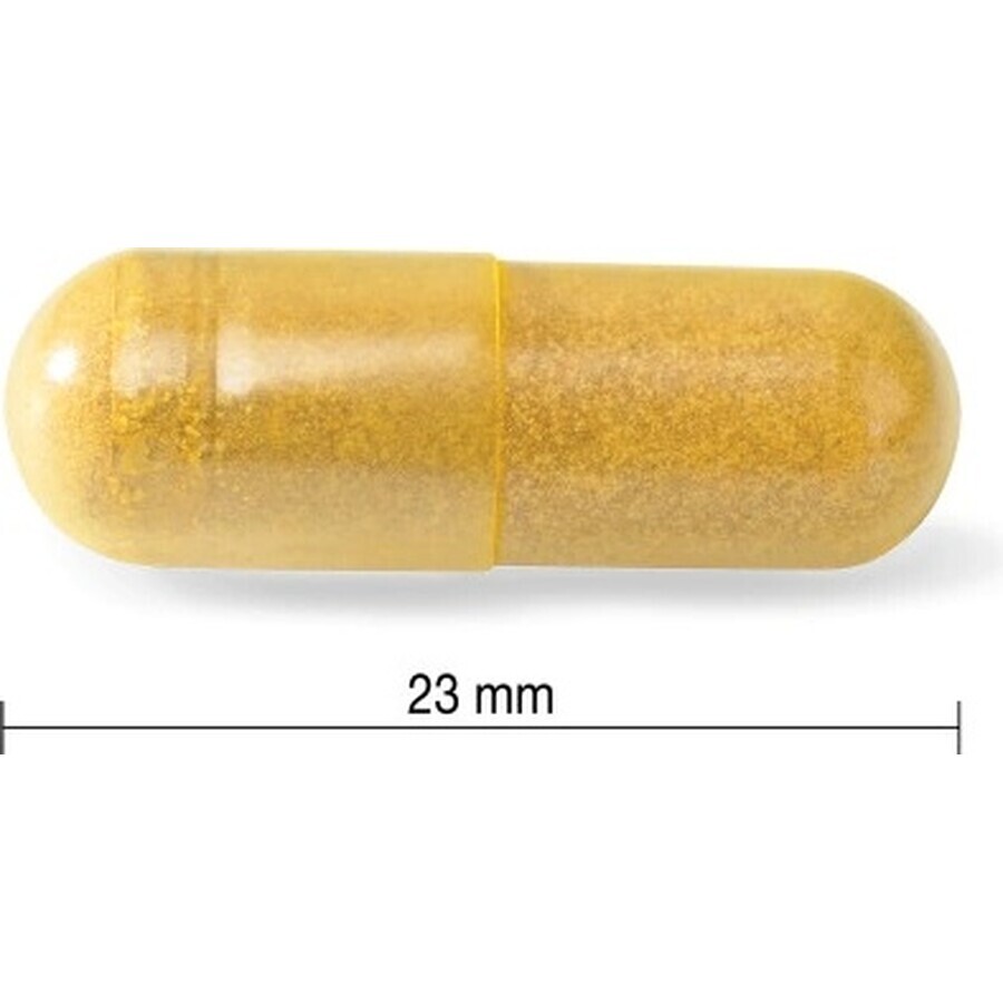 JAMIESON CURCUMIN WITH BLACK ROOT 1x60 cps, supliment alimentar